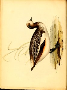 n173_w1150