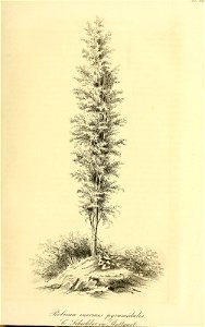 n148_w1150