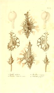 n396_w1150