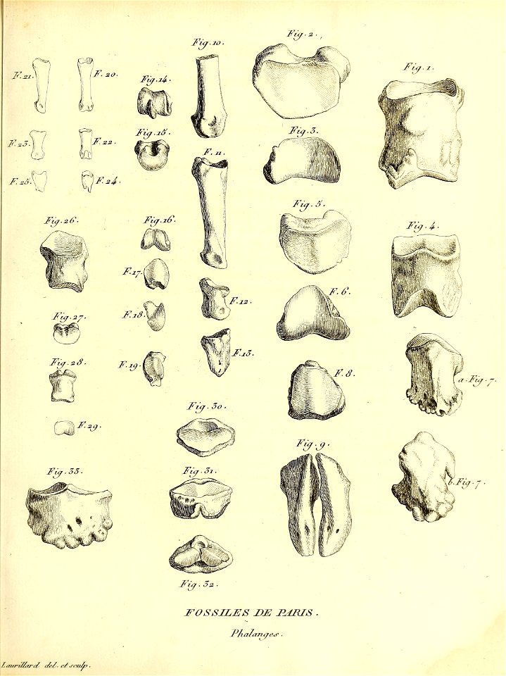 n192_w1150