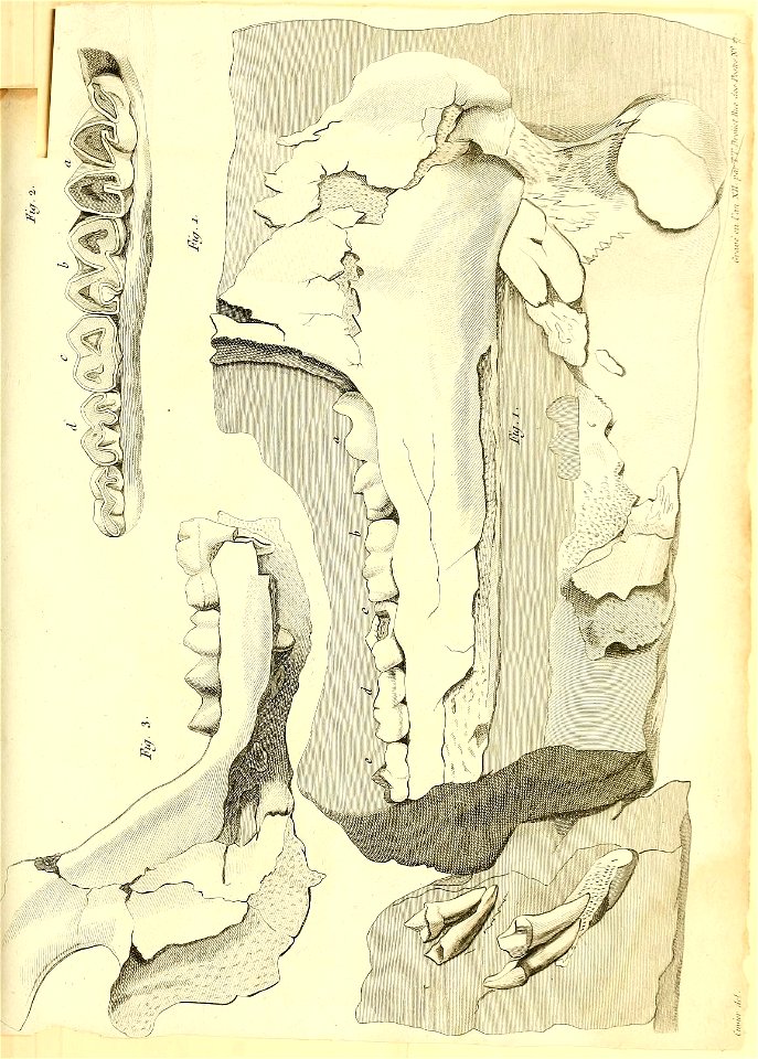n94_w1150