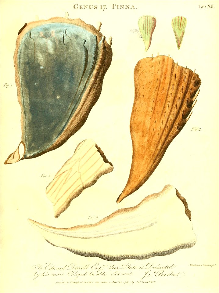 n206_w1150