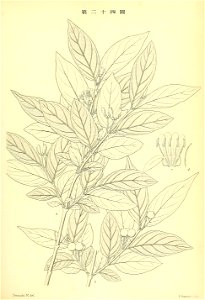 n210_w1150