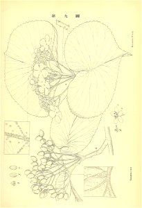n150_w1150