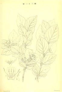 n206_w1150