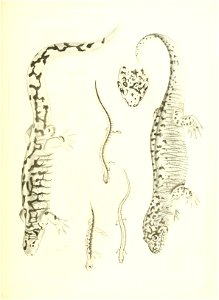 n528_w1150