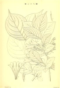 n266_w1150