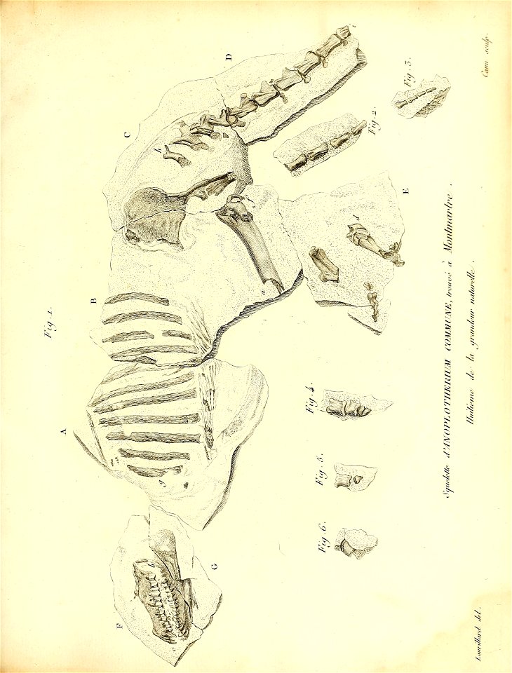 n290_w1150