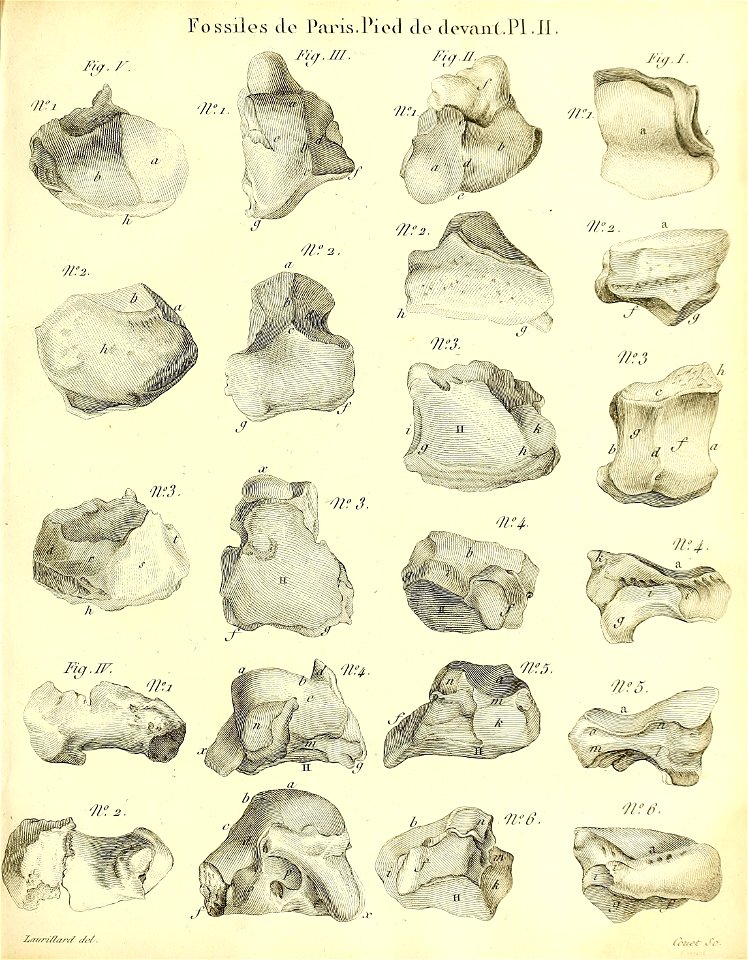 n178_w1150