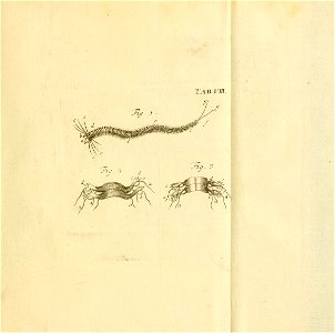 n234_w1150