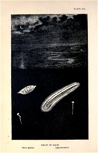 n145_w1150
