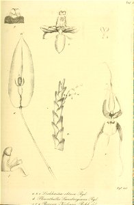 n194_w1150