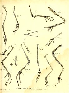 n482_w1150