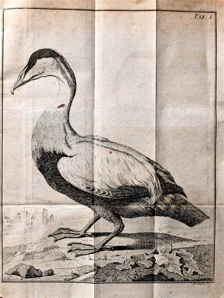 n79_w1150