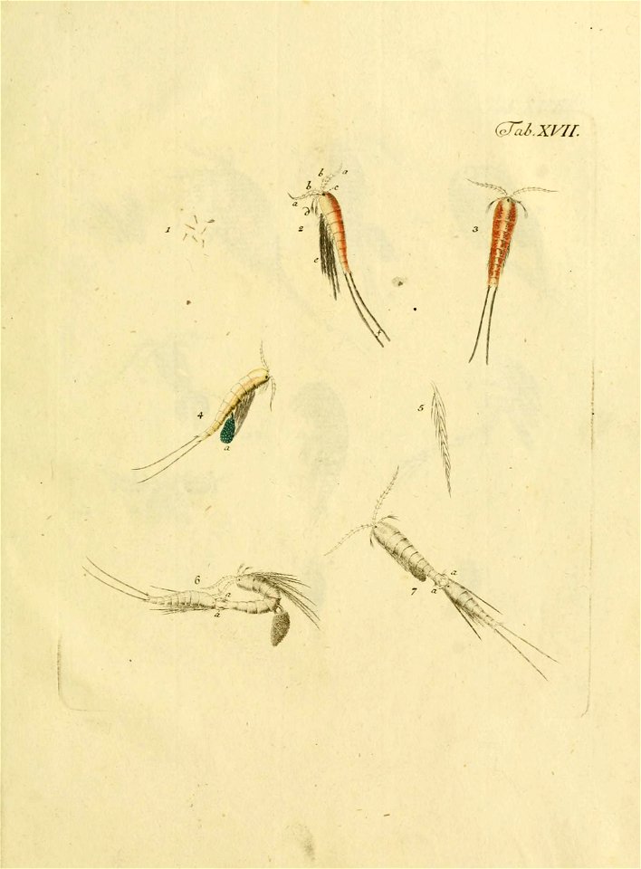 n176_w1150