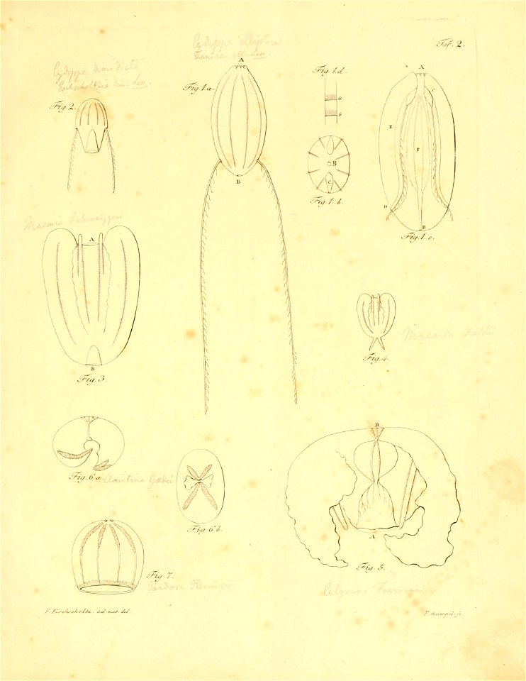 n202_w1150