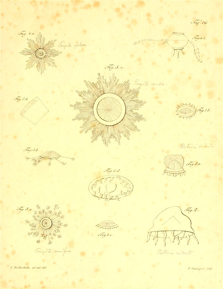 n228_w1150