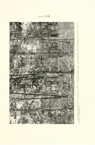n286_w1150