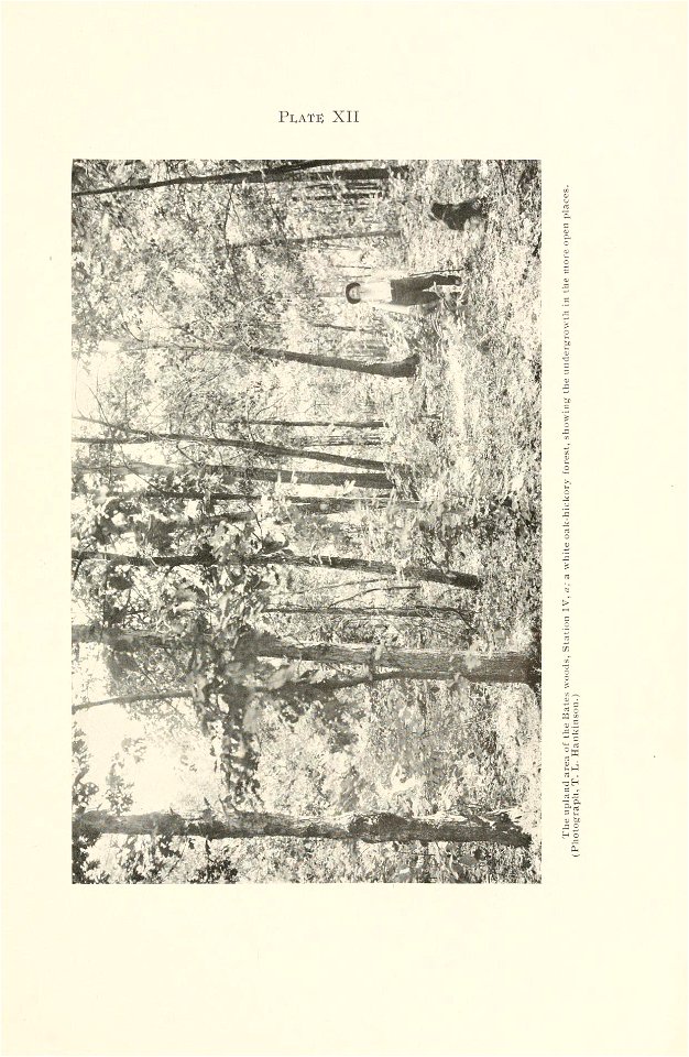 n284_w1150