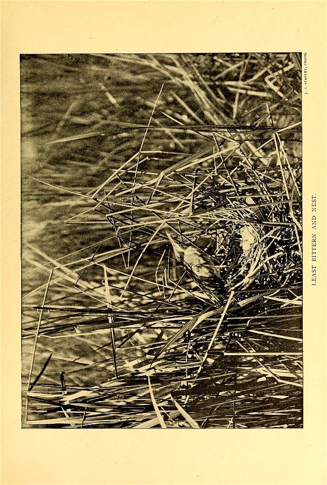 n584_w1150