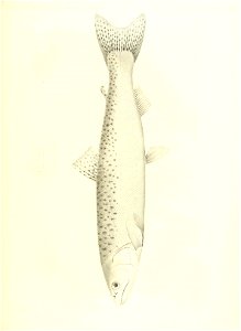 n548_w1150