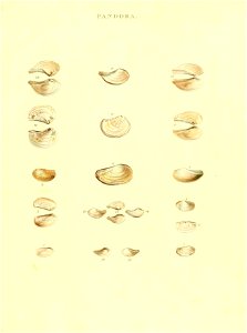 n66_w1150