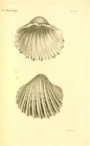 n140_w1150