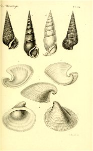 n110_w1150