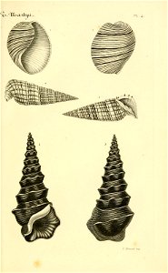 n50_w1150