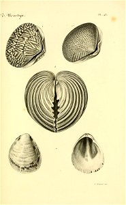 n138_w1150
