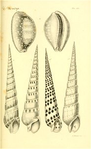 n108_w1150