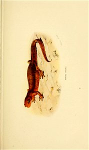 n152_w1150