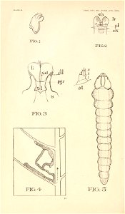 n27_w1150