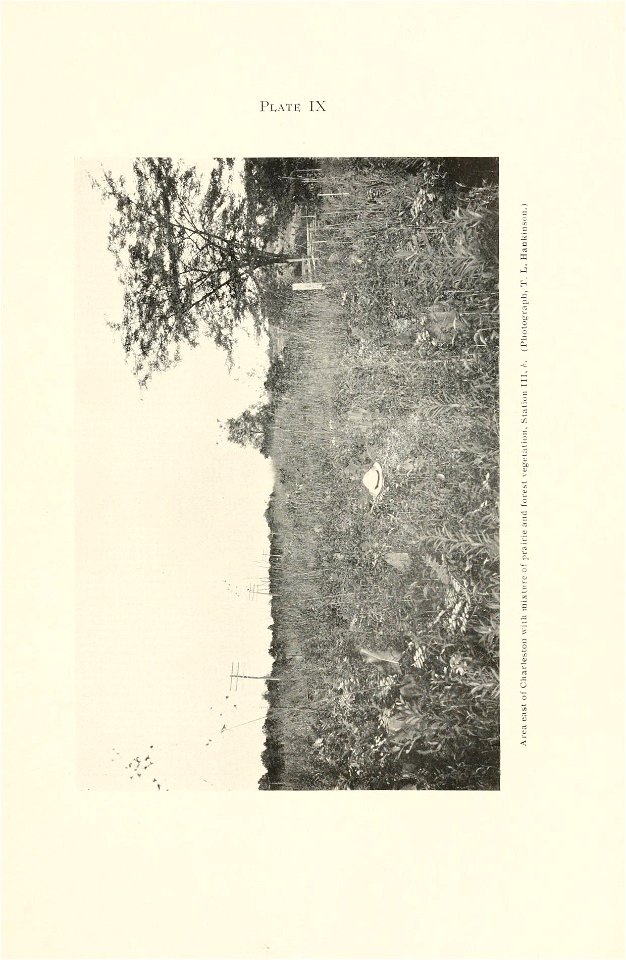 n278_w1150