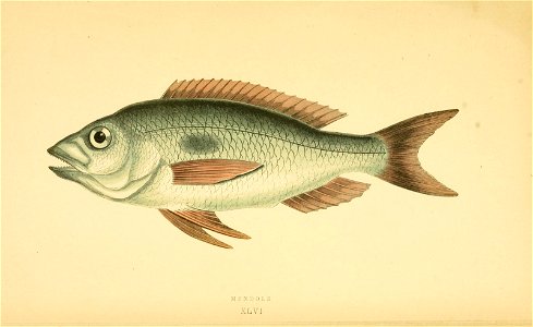 n311_w1150