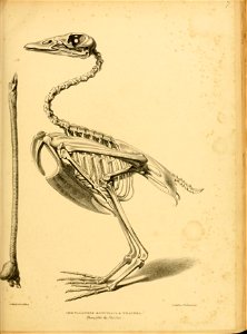n50_w1150