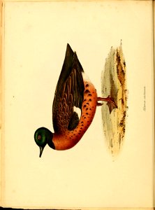 n177_w1150