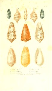 n404_w1150