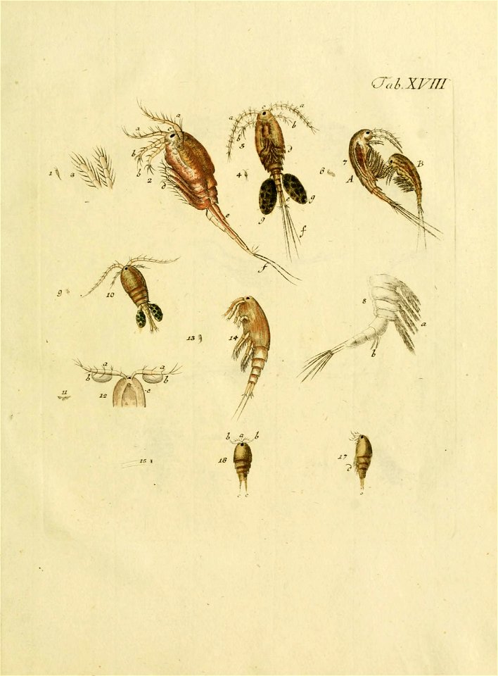 n178_w1150