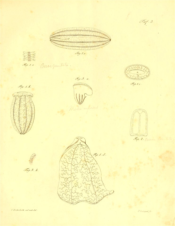 n204_w1150