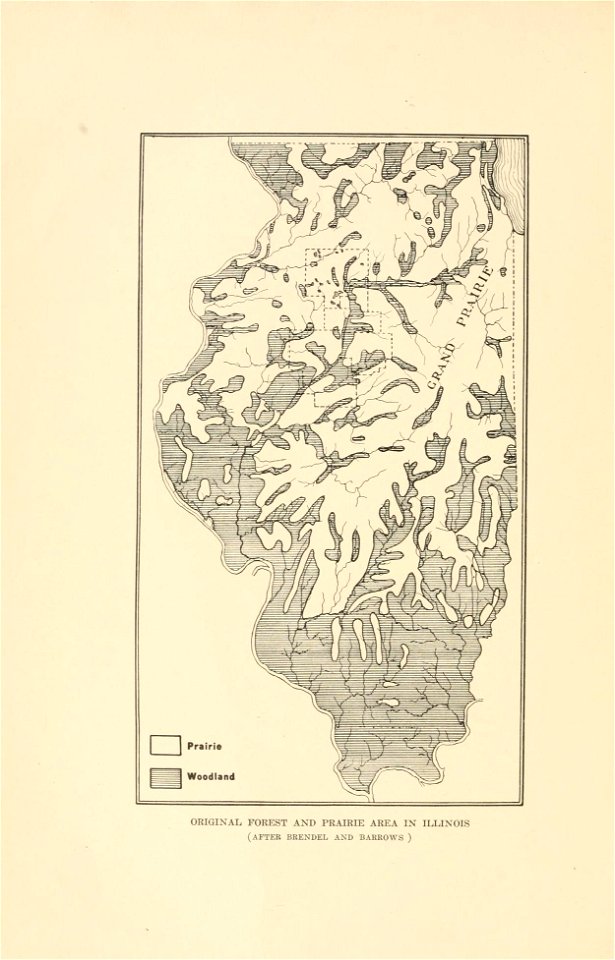n3_w1150