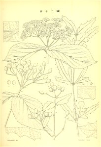 n162_w1150