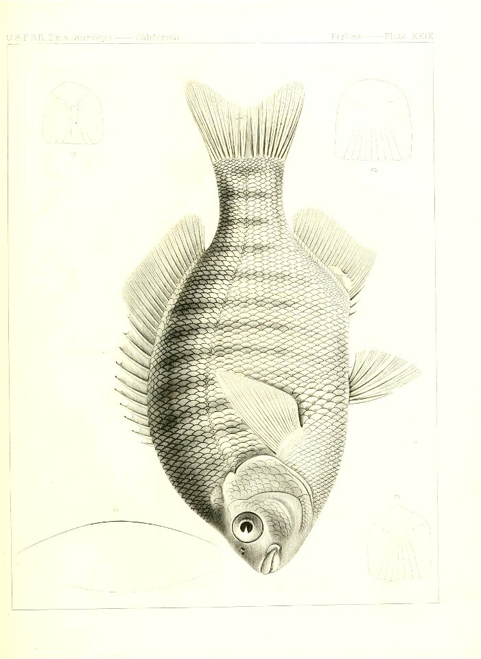 n622_w1150