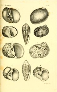 n116_w1150