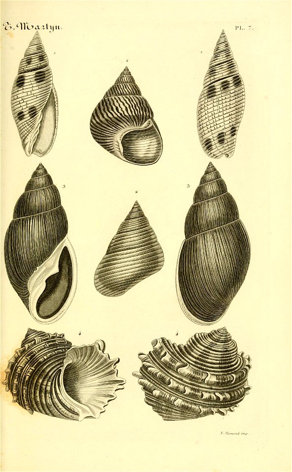n56_w1150