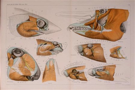 n188_w1150