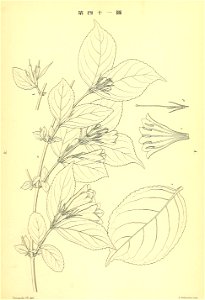 n278_w1150