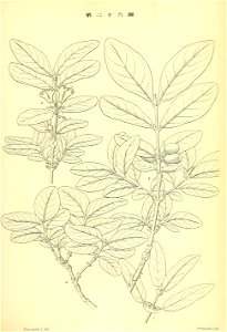 n218_w1150