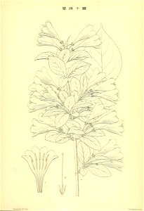 n274_w1150