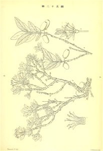 n214_w1150